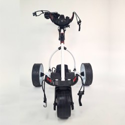 Carro Eléctrico para GOLF TEXAS 14.4V/ 20A CRAZY CAT con batería de Litio y control remoto