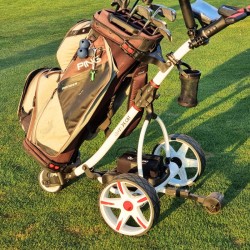 Carro Eléctrico para GOLF TEXAS 14.4V/ 20A CRAZY CAT con batería de Litio y control remoto