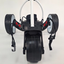 Carro Eléctrico para GOLF BOSTON 12V/ 36A CRAZY CAT con batería de acido y control remoto