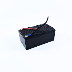 Carro Eléctrico para GOLF TEXAS 14.4V/ 20A CRAZY CAT con batería de Litio y control remoto