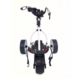 Carro Eléctrico para GOLF BOSTON 12V/ 36A CRAZY CAT con batería de acido y control remoto